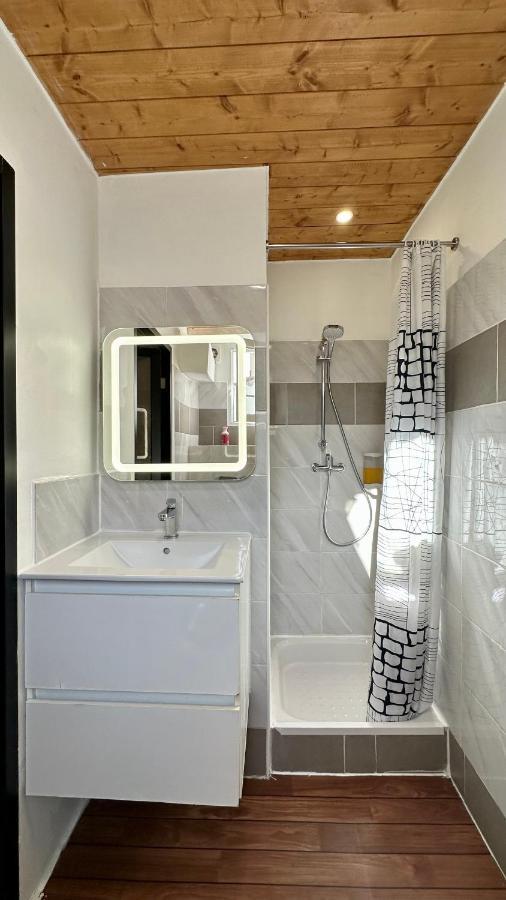 Lion'S Room - 2 Minute Walk From Palais Des Festivals And Beaches Κάννες Εξωτερικό φωτογραφία